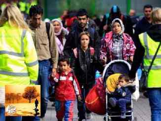 العودة "الطوعية" للاجئين ... إكراه وتواطؤ المنظمات غير الحكومية | مهاجر
