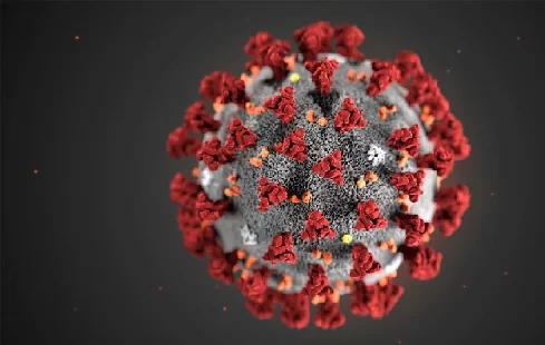 تسجيل إصابة جديدة ب فيروس كورونا في نيوبرونزويك