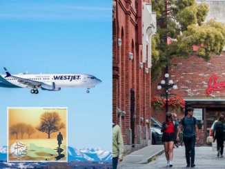 شركة طيران WestJet تضيف 11 رحلة طيران داخلية في يونيو | مهاجر