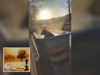 فيديو :دب أسود يفاجئ زوجين في حوض الاستحمام | مهاجر