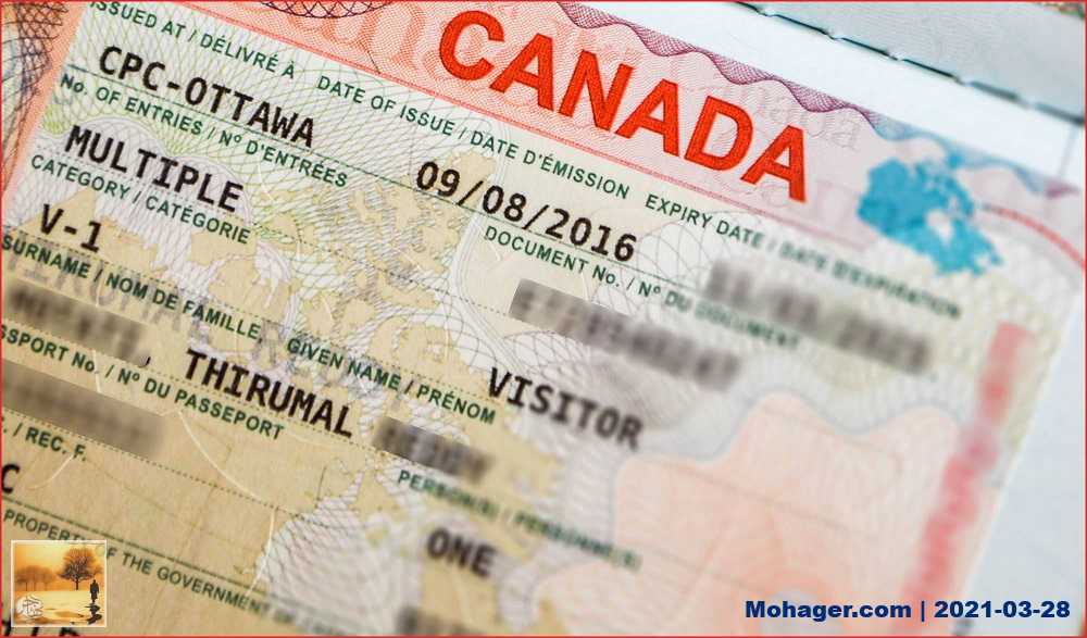 الهجرة الكندية تنشر الجداول الزمنية لمعالجة طلبات الهجرة والإقامة والجنسية | مهاجر
