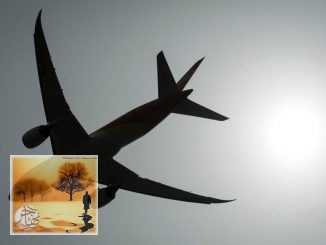 ترحيل امرأة تقيم في كندا منذ عام 1975.. وهذا هو السبب | مهاجر