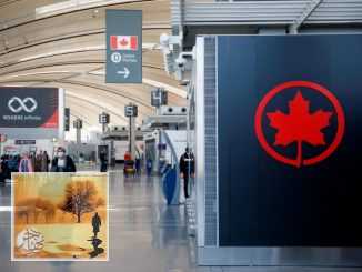 حزب المحافظين الكندي يطالب بالتخلص من جميع قيود السفر والعودة إلى قواعد ما قبل الوباء | مهاجر