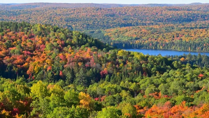 أونتاريو تُصنف كأفضل وجهة في العالم لمشاهدة ألوان الخريف المتغيرة